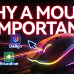 Why a Mouse Is Important